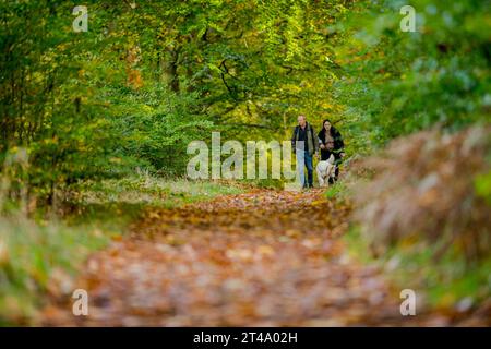 Mann und Frau mit ihrem Hund, der auf einer von Bäumen gesäumten nationalen Radroute mit Bäumen in ihrer Herbstfarbe läuft. Stockfoto