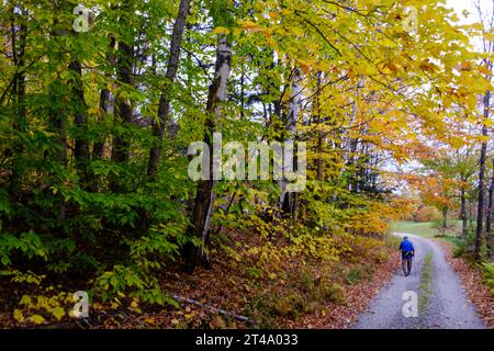 Eine ältere Person läuft entlang einer Landstraße in Vermont in der Nähe von farbenfrohen Herbstlaub mit Skistöcken, um mit ihnen zu spazieren. Stockfoto