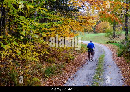 Eine ältere Person läuft entlang einer Landstraße in Vermont in der Nähe von farbenfrohen Herbstlaub mit Skistöcken, um mit ihnen zu spazieren. Stockfoto