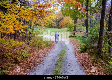 Eine ältere Person läuft entlang einer Landstraße in Vermont in der Nähe von farbenfrohen Herbstlaub mit Skistöcken, um mit ihnen zu spazieren. Stockfoto