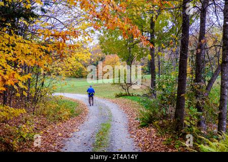 Eine ältere Person läuft entlang einer Landstraße in Vermont in der Nähe von farbenfrohen Herbstlaub mit Skistöcken, um mit ihnen zu spazieren. Stockfoto