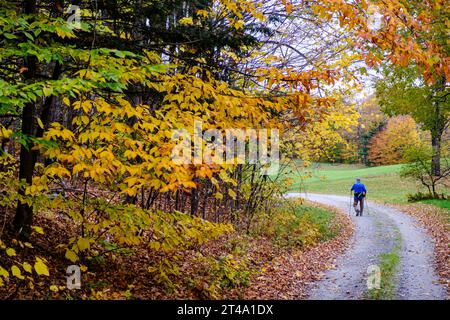 Eine ältere Person läuft entlang einer Landstraße in Vermont in der Nähe von farbenfrohen Herbstlaub mit Skistöcken, um mit ihnen zu spazieren. Stockfoto