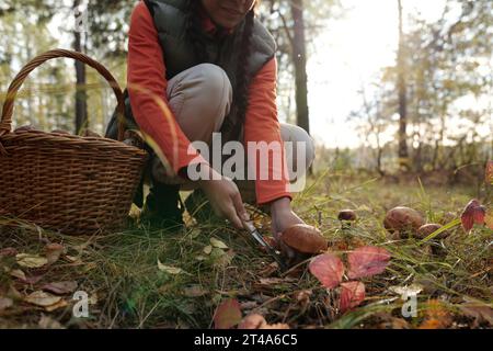 Beschnittener Schuss einer jungen Frau in Aktivkleidung, die den orangen Kappenboletus schneidet, während sie auf Hocken sitzt und essbare Pilze im Wald sammelt Stockfoto