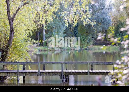 Holzbrücke über den Angelsee, Somerset, Großbritannien Stockfoto
