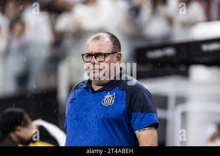 Sao Paulo, Brasilien. Oktober 2023. SP - SAO PAULO - 10/29/2023 - BRAZILIAN A 2023, CORINTHIANS Credit: AGIF/Alamy Live News Stockfoto