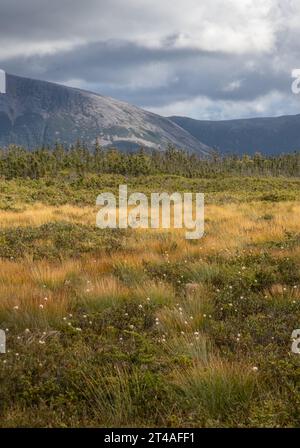 Fjorde in Gros Morne mit Sturmwolken über fernen Bergen Stockfoto