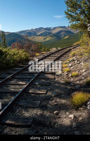 Letzte verbleibende Strecke der alten Schmalspurbahn Denver, South Park & Pacific über den Boreas Pass in Colorado, einst die höchste Eisenbahn der USA Stockfoto