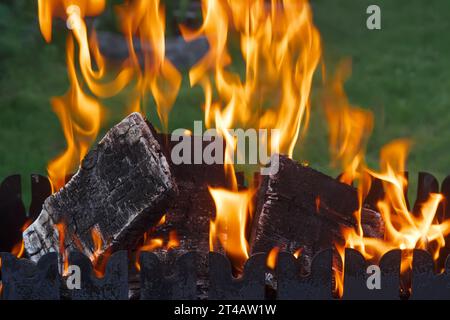 Brennendes Brennholz in der Nahaufnahme vor dem Hintergrund von grünem Gras. Stockfoto