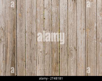 Farbe löst sich von einem hölzernen Hintergrund ab. Holzstruktur mit abgelöster Malfarbe Stockfoto