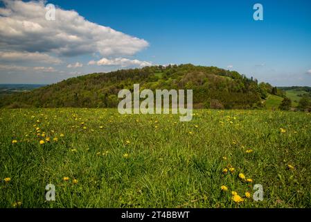 Frühling über Ustron in Beskiden in Polen mit Blumenwiesen und meist waldbedeckten Tul-Hügeln Stockfoto