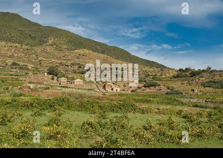 Weinbau, Contrada Dietro Isola, Dammusi, Italien, Weinberge, Pantelleria, Pelagische Inseln, Sizilien, Italien Stockfoto