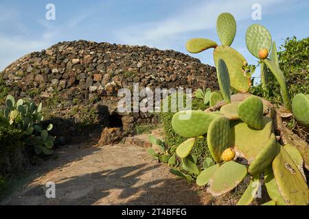 Traditionelles Steinhaus, Sesi Grande, Dammusi, Kakteen, Parco Archeologico dei Sesi, Pantelleria, pelagische Inseln, Sizilien, Italien Stockfoto