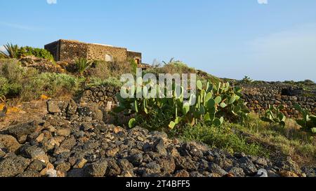 Traditionelles Steinhaus, Dammusi, Kakteen, Parco Archeologico dei Sesi, Pantelleria, pelagische Inseln, Sizilien, Italien Stockfoto