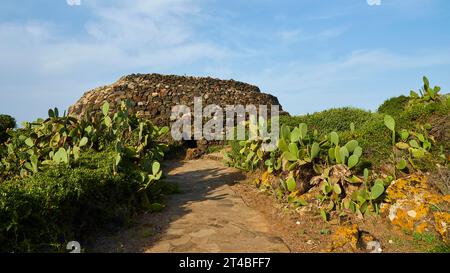 Traditionelles Steinhaus, Sesi Grande, Dammusi, Kakteen, Parco Archeologico dei Sesi, Pantelleria, pelagische Inseln, Sizilien, Italien Stockfoto