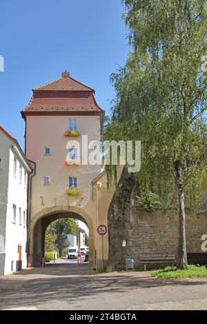 Historisches neues Heilbronner Tor, Stadttor, Torturm, Bogenweg, Lauffen am Neckar, Neckartal, Baden-Württemberg, Deutschland Stockfoto