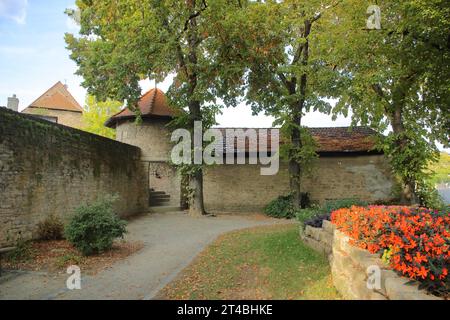 Historische Stadtmauer und Turm, östliche Stadtmauer, Dettelbach, Unterfranken, Franken, Bayern, Deutschland Stockfoto