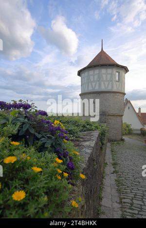 Historischer Turm und Blumenschmuck, Mauerturm, Stadtbefestigung, östliche Stadtmauer, Dettelbach, Niederfranken, Franken, Bayern, Deutschland Stockfoto