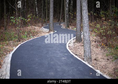 Ein neuer Weg im Park. Asphaltstraße durch den Wald. Pfad zwischen den Bäumen. Routendetails. Stockfoto