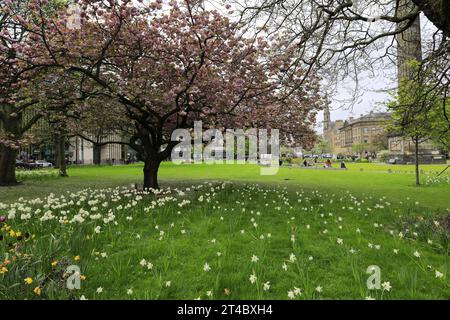 Frühlingsblick über die Gärten am St Andrew Square, Edinburgh, Schottland, Großbritannien Stockfoto