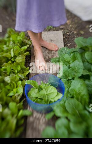 Frau und ihr Baby machen Gartenarbeit. Stockfoto