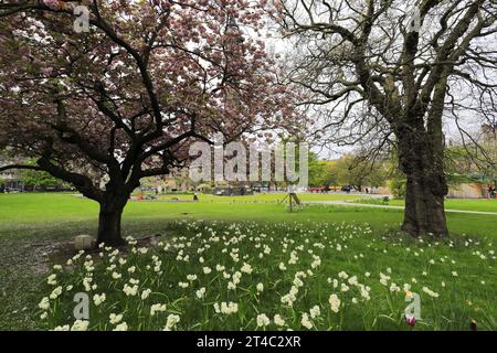 Frühlingsblick über die Gärten am St Andrew Square, Edinburgh, Schottland, Großbritannien Stockfoto