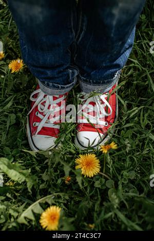 Rote Turnschuhe und gelbe Blumen auf grünem Gras im Frühling Stockfoto