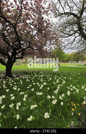 Frühlingsblick über die Gärten am St Andrew Square, Edinburgh, Schottland, Großbritannien Stockfoto