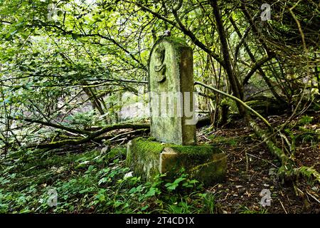 Älterer jüdischer Friedhof in Knippwiese im Wald, Deutschland, Rheinland-Pfalz, Cochem Stockfoto