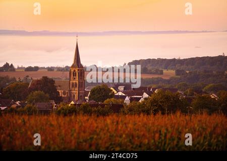 Feldlandschaft mit Landkern und St. Servatiuskirche bei Sonnenaufgang, Deutschland, Rheinland-Pfalz, Landkern Stockfoto