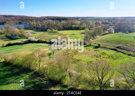 Aus der Vogelperspektive Wandheckenlandschaft im Frühjahr, Deutschland, Schleswig-Holstein Stockfoto