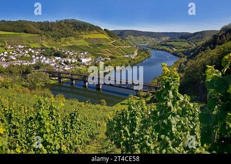 Doppelstockbrücke Bullay im Moseltal, Deutschland, Rheinland-Pfalz, Puenderich Stockfoto