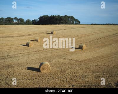 Panorama der schottischen Lowlands zwischen Dundee und Aberdeen Stockfoto