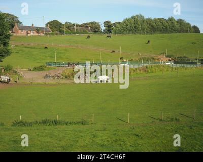 Panorama der schottischen Lowlands zwischen Dundee und Aberdeen Stockfoto