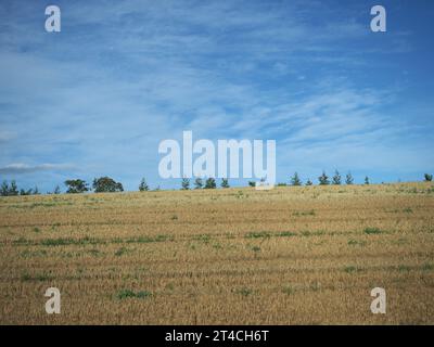 Panorama der schottischen Lowlands zwischen Dundee und Aberdeen Stockfoto