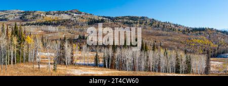 Farbenfrohes und pulsierendes Panorama der Gegend um Pilot's Knob Colorado. Tiefblauer Himmel mit etwas gelbem Laub und einem zerklüfteten Bergkamm und kahlem Gipfel Stockfoto