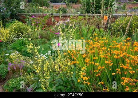 Lebhafte Sommerblumen im RHS Bridgewater Garden in Worsley, Salford, Manchester, England. Stockfoto