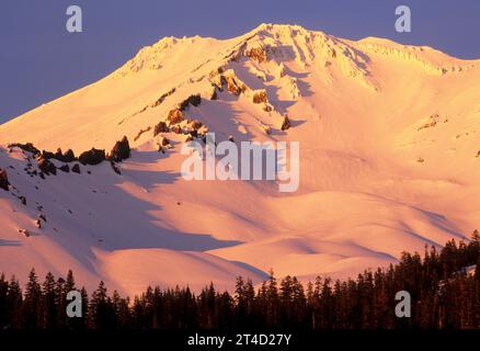 Mount Shasta aus Bunny flach, Shasta-Dreiheit National Forest, Kalifornien Stockfoto