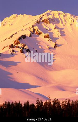 Mount Shasta aus Bunny flach, Shasta-Dreiheit National Forest, Kalifornien Stockfoto