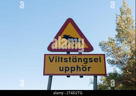 Verkehrsschilder Elche auf einer Straße, Schweden Stockfoto