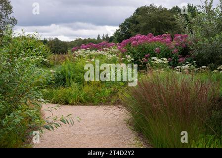 Welcome Garden im Spätsommer im RHS Bridgewater Garden in Worsley, Salford, Manchester, England. Stockfoto