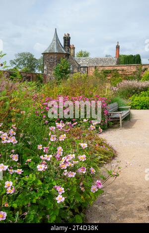 Pflanzen im Spätsommer im Paradise Garden im RHS Bridgewater Garden in Worsley, Salford, Manchester, England. Stockfoto