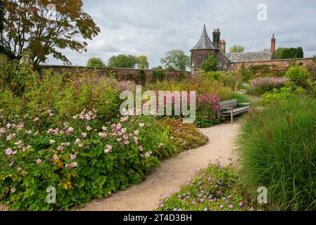 Pflanzen im Spätsommer im Paradise Garden im RHS Bridgewater Garden in Worsley, Salford, Manchester, England. Stockfoto