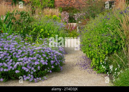 Pflanzen im Spätsommer im Paradise Garden im RHS Bridgewater Garden in Worsley, Salford, Manchester, England. Stockfoto