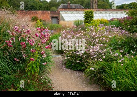 Pflanzen im Spätsommer im Paradise Garden im RHS Bridgewater Garden in Worsley, Salford, Manchester, England. Stockfoto