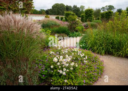 Pflanzen im Spätsommer im Paradise Garden im RHS Bridgewater Garden in Worsley, Salford, Manchester, England. Stockfoto