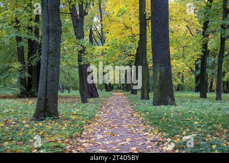 Naturlandschaft Hintergrund Bäume im Park, langer Weg mit gefallenen trockenen Blättern im Herbst. Stockfoto
