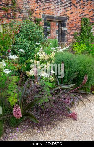 Pflanzen im Spätsommer im Paradise Garden im RHS Bridgewater Garden in Worsley, Salford, Manchester, England. Stockfoto