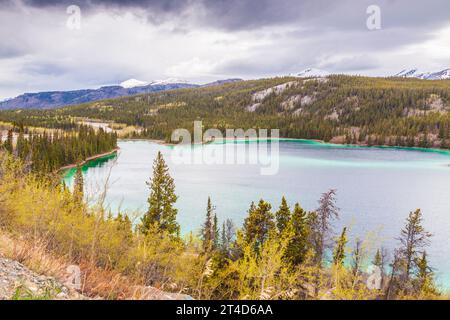 Emerald Lake in der Nähe von Carcross im Yukon Territory, Kanada. Die grüne Farbe ist das Ergebnis des Sonnenlichts, das von dem, was genannt wird, Mergel reflektiert wird. Marl ist der Stockfoto