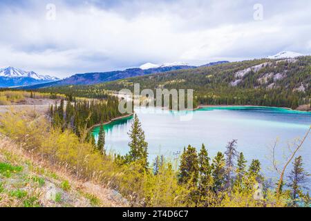 Emerald Lake in der Nähe von Carcross im Yukon Territory, Kanada. Die grüne Farbe ist das Ergebnis des Sonnenlichts, das von dem, was genannt wird, Mergel reflektiert wird. Marl ist der Stockfoto