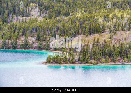 Emerald Lake in der Nähe von Carcross im Yukon Territory, Kanada. Die grüne Farbe ist das Ergebnis des Sonnenlichts, das von dem, was genannt wird, Mergel reflektiert wird. Marl ist der Stockfoto